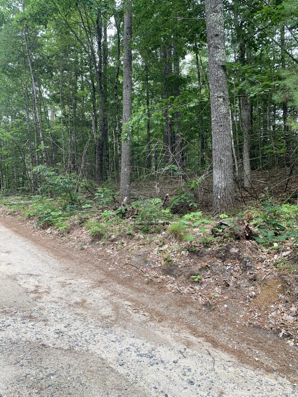 land photo