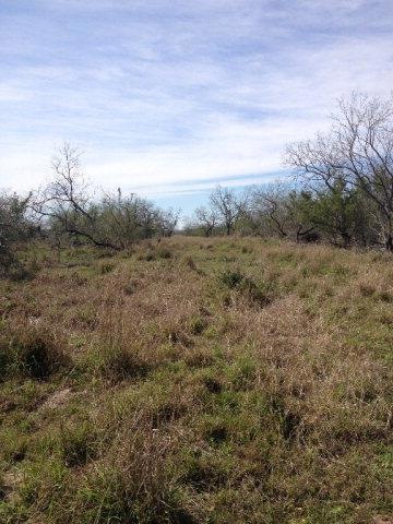 unlisted-address, Edinburg, TX 78539 - photo 1