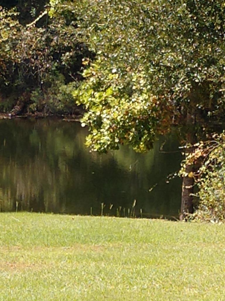 109 Cedar Slough Ct, Cordele, GA 31015 - photo 1