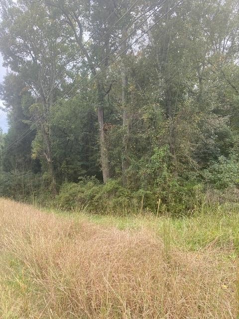 0 Highway 41 N unit RTC2424842, Tunnel Hill, GA 30755 - photo 1