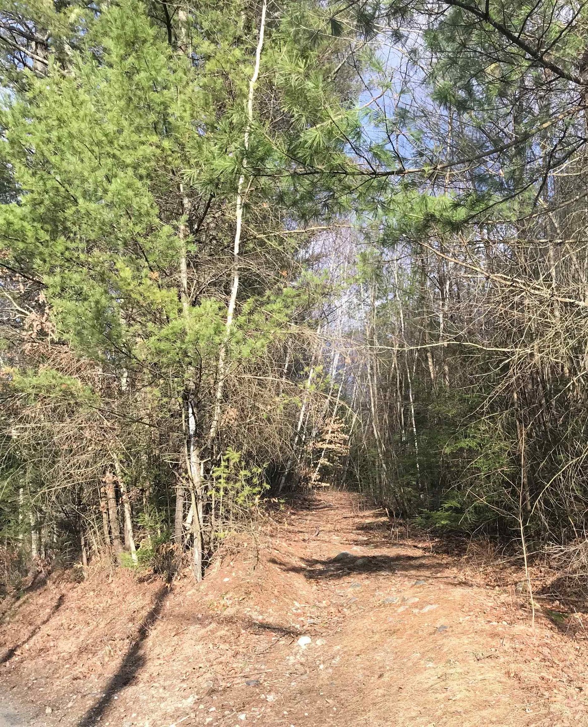 0 Forest Lake Rd unit 4897805, Winchester, NH 03470 - photo 1