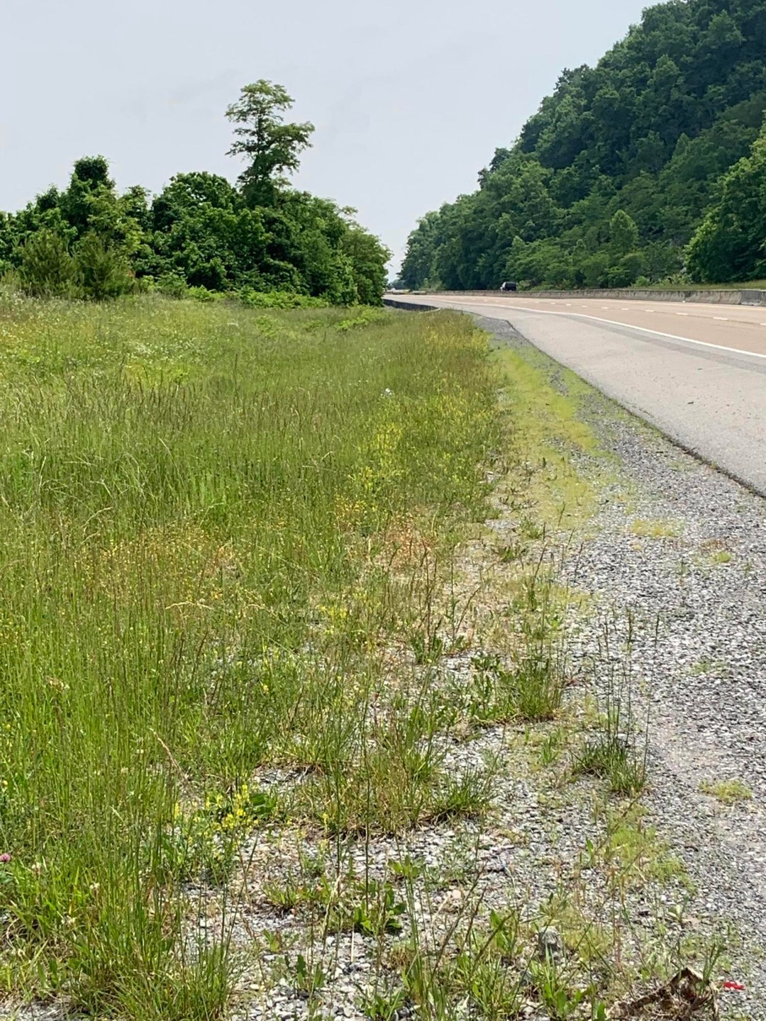 7506CDB1-44DD-4BBF-B8E8-B508E15C9070