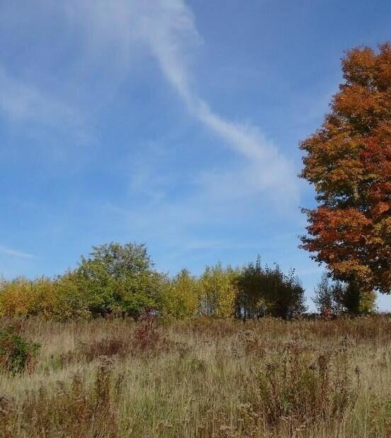 land photo