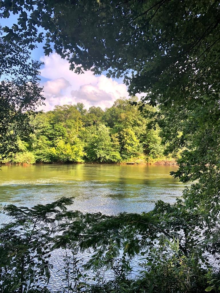 112 Rivermist, Macon, GA 31210 - photo 1