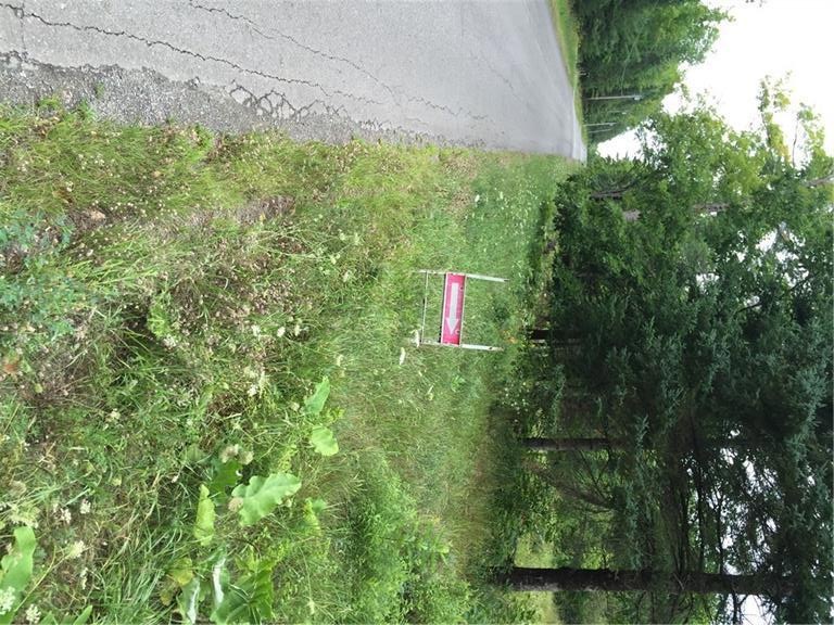 Sign at road's edge to indicate lot....