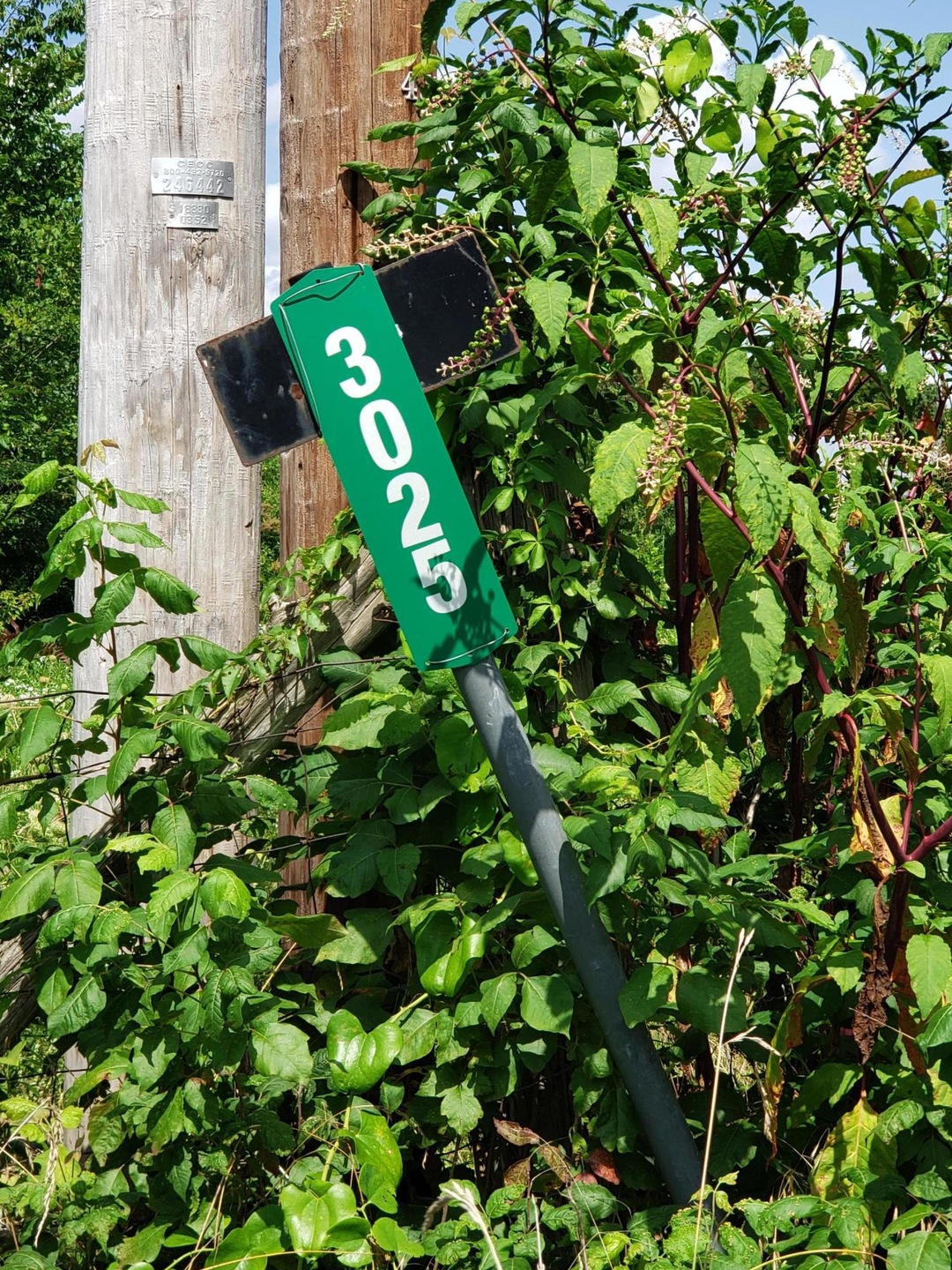 3 Poles