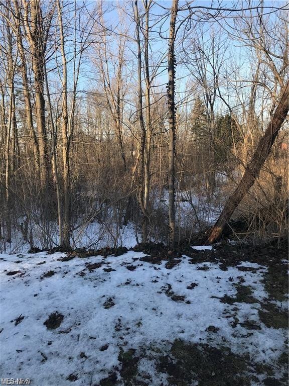 Lot 18R Hurd Rd, Aurora, OH 44202 - photo 1