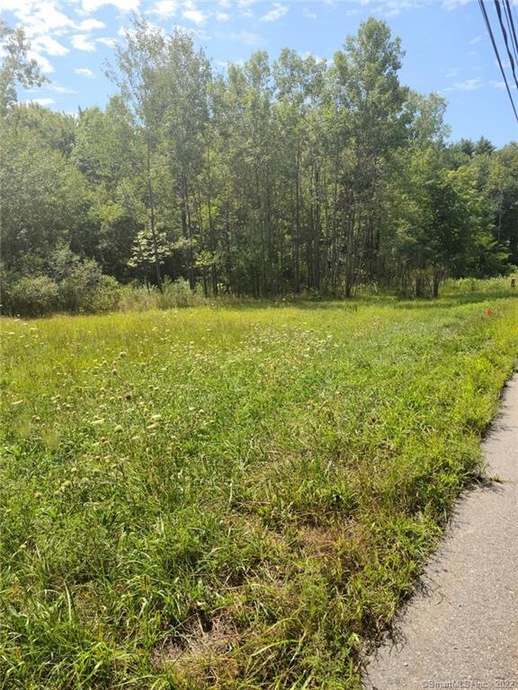 0 Torrington Rd unit 170323605, Litchfield, CT 06759 - photo 1