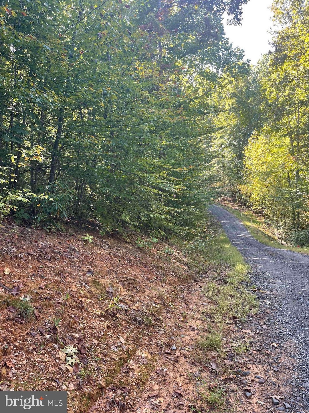 0 Beaver Creek Ct unit VACU2006274, Lignum, VA 22726 - photo 1