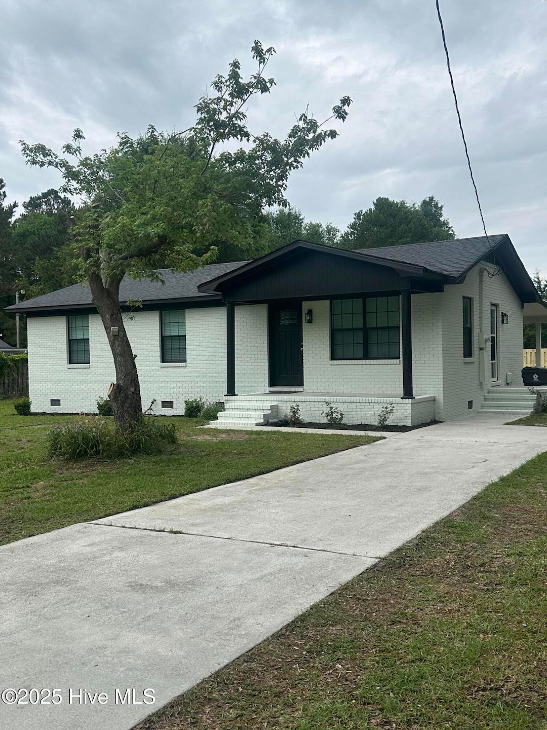 Green Loop House
