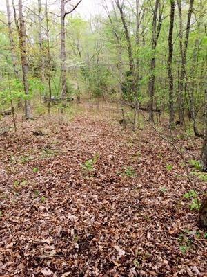 1580 Long Hollow Rd, Somerset, KY 42501 - photo 1