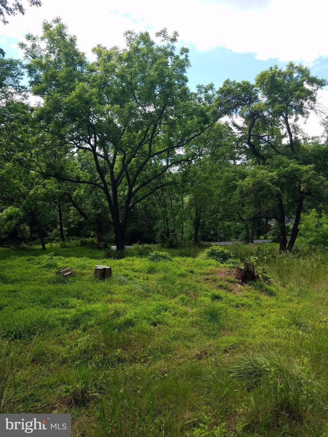 5042 Shookstown Rd, Frederick, MD 21702 - photo 1