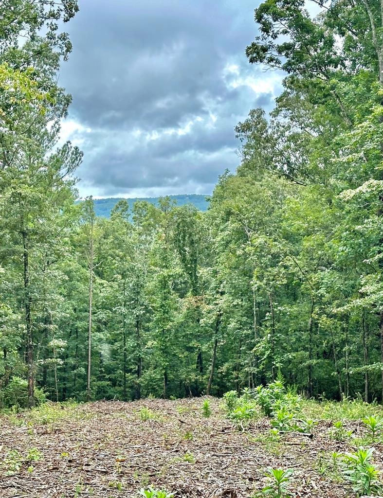Lot 315 Pebble Trace, Talking Rock, GA 30175 - photo 1
