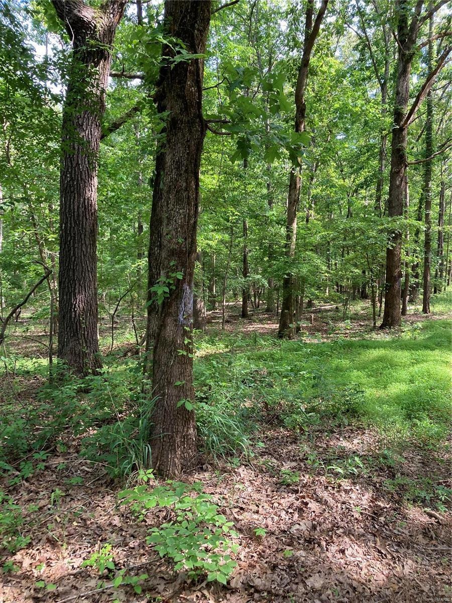 0 Cr 436 unit 22034571, Poplar Bluff, MO 63901 - photo 1