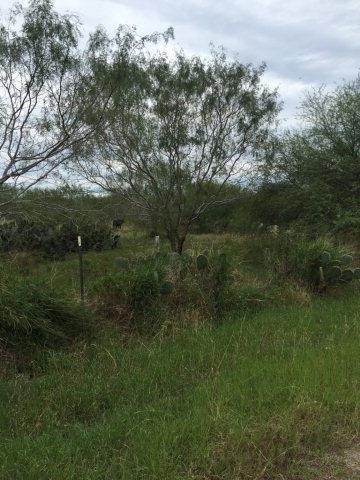 unlisted-address, Edinburg, TX 78539 - photo 1