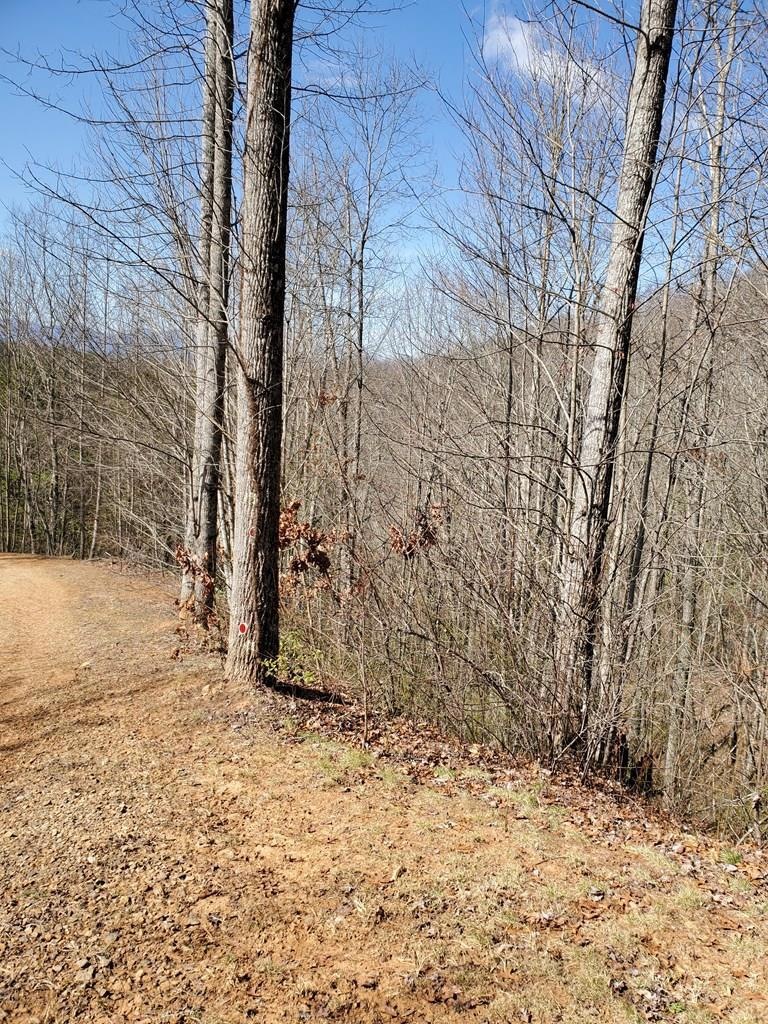 00 Roy Cook Rd, Franklin, NC 28734 - photo 1