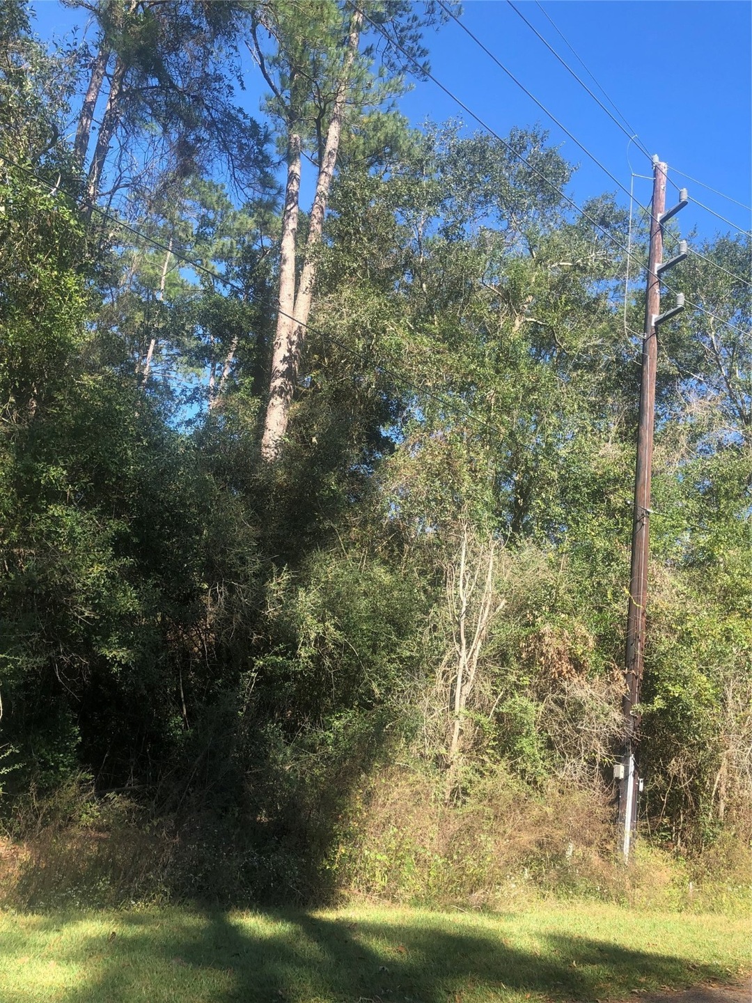 502 & 506 W Rollingwood, Pinehurst, TX 77362 - photo 1