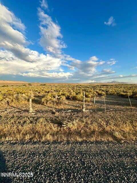 0 Martin Creek Rd unit 250058908, Paradise Valley, NV 89426 - photo 1