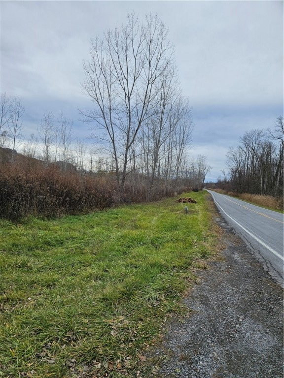 1156 Quaker Rd, MacEdon, NY 14502 - photo 1