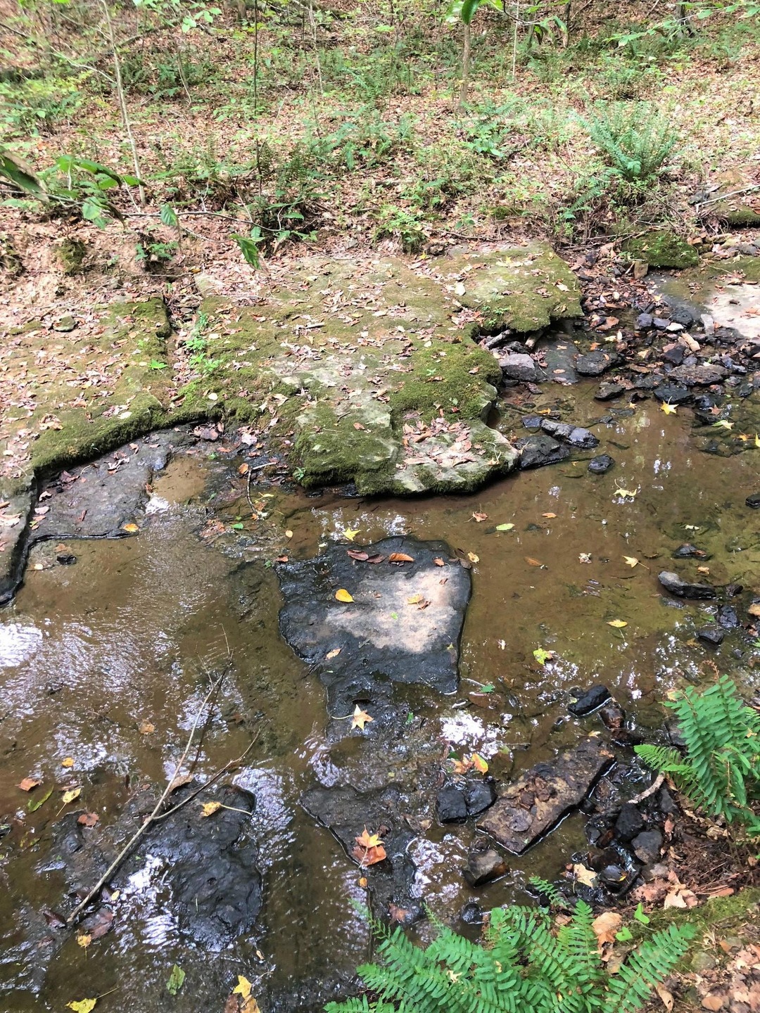 0 Salem Minor Hill Rd unit 1966616, Minor Hill, TN 38473 - photo 1