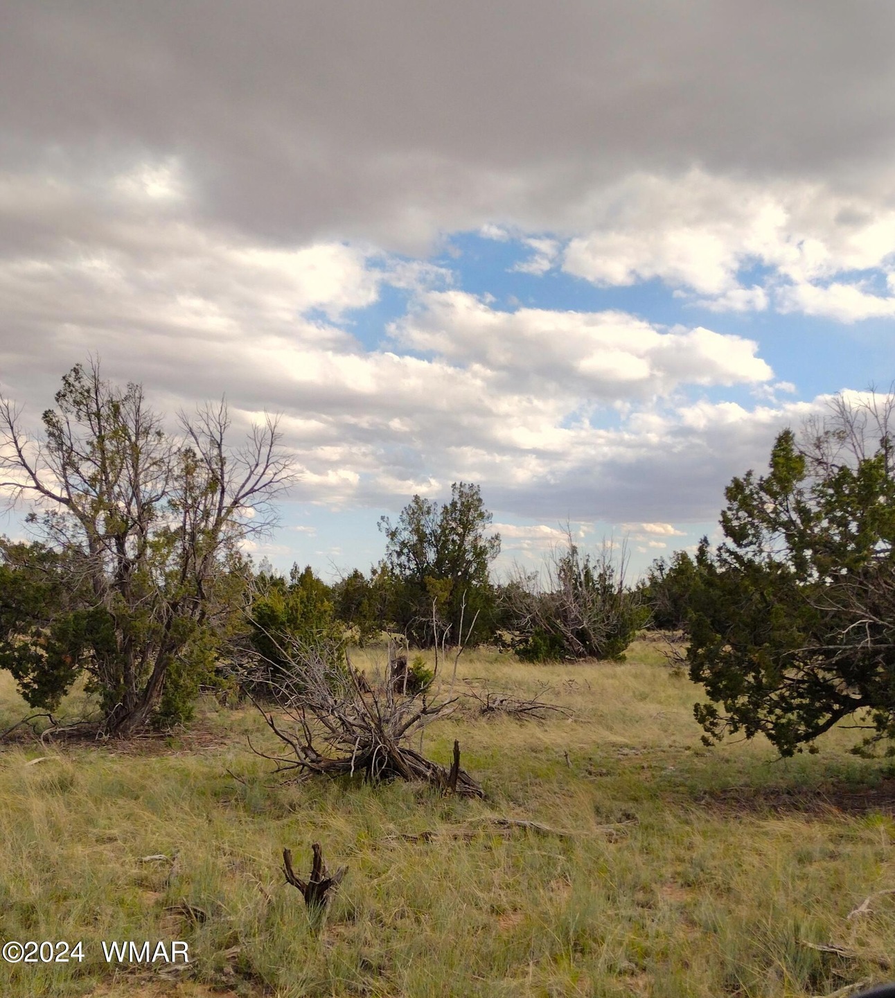 view of lot 94A