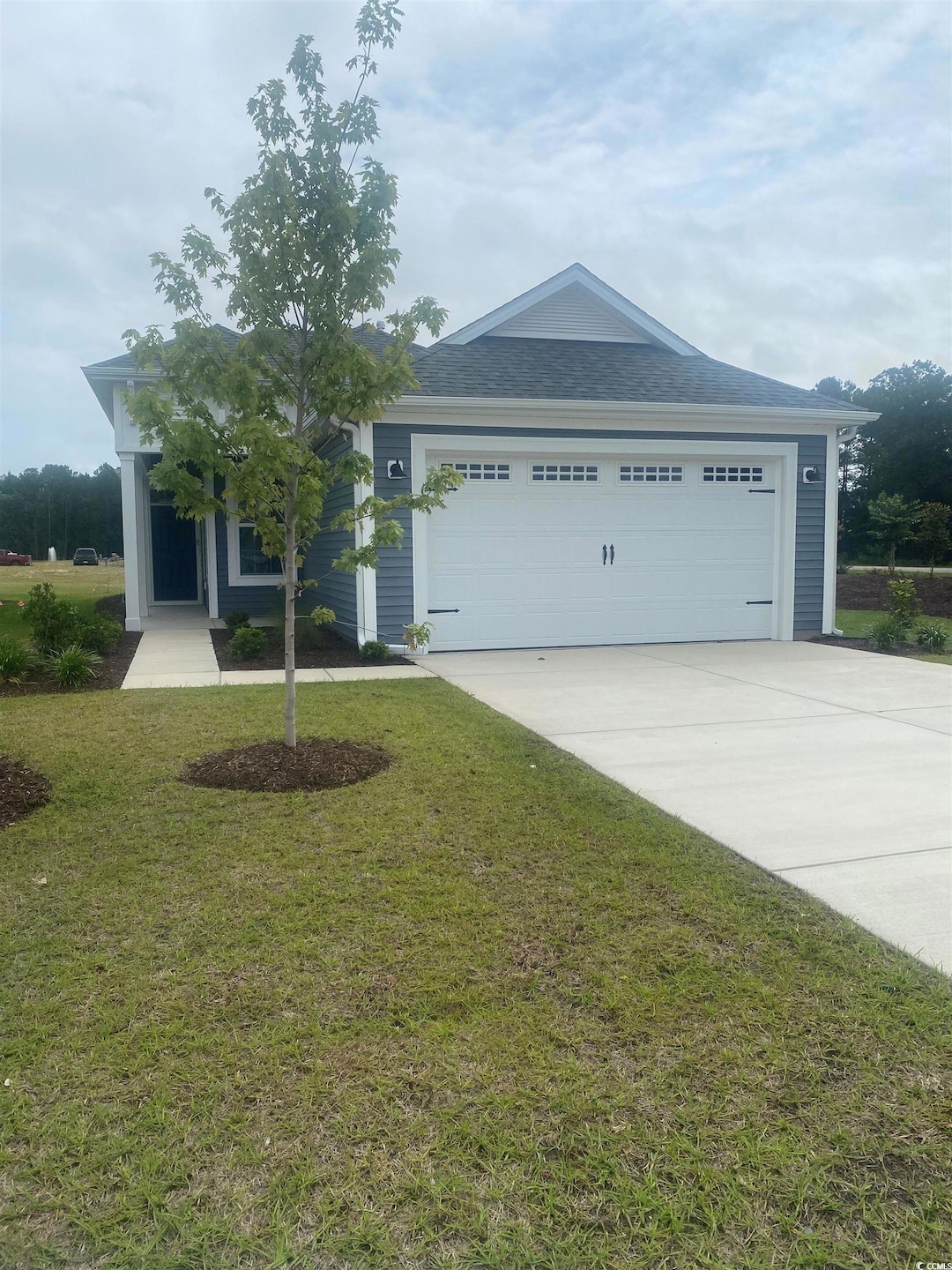 Single story home with driveway and a front lawn