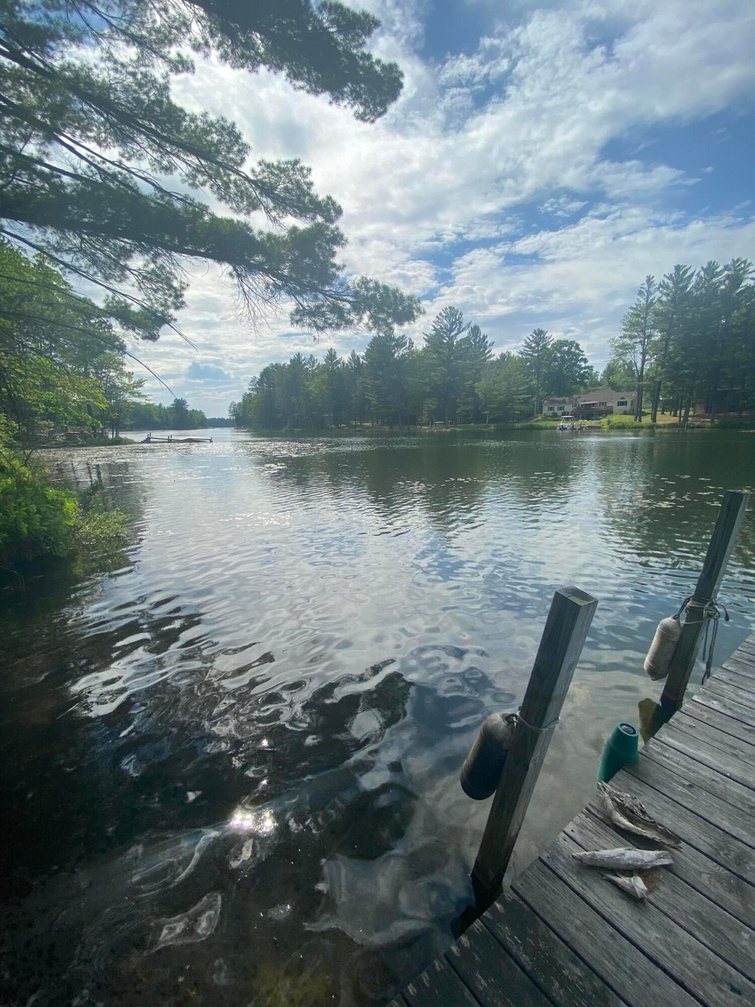 Tee Lake from dock