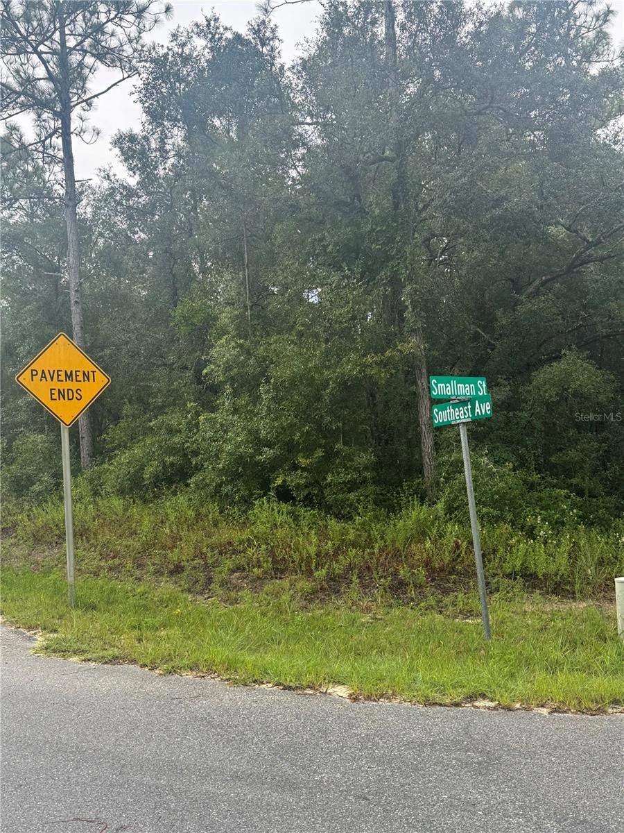 0 Southeast Ave unit MFRO6338893, Webster, FL 33597 - photo 1