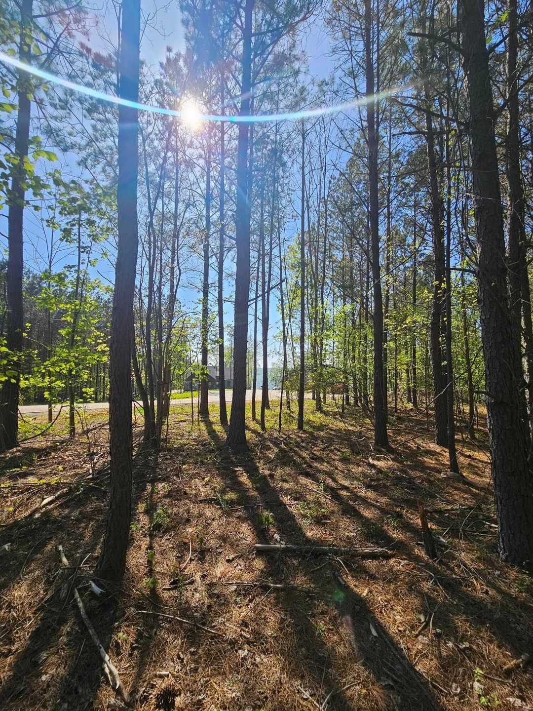 0 Waterwheel Way unit RTC2598432, Jasper, TN 37347 - photo 1