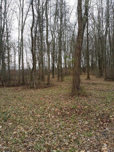 6.36ac Us Rt 68 & Park Rd, Perry Township, OH 45118 - photo 1