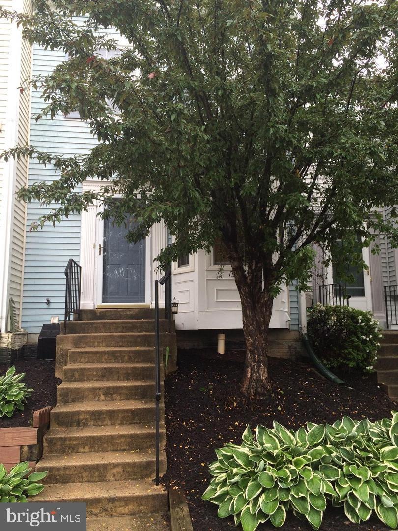 13986 Big Yankee Ln, Centreville, VA 20121 - photo 1