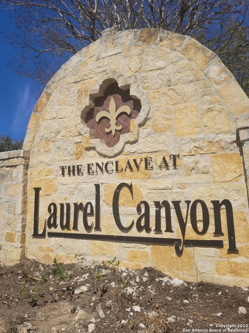 11206 Blue Fax Field, Helotes, TX 78023 - photo 1