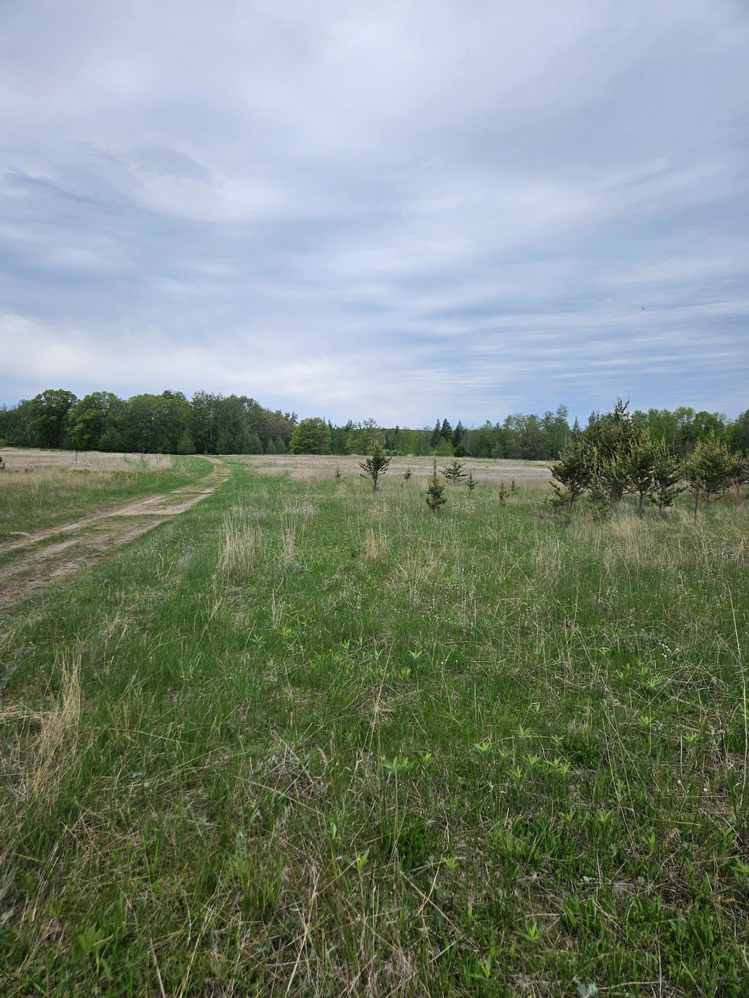 TBD Pillager Creek Trail SW, Pillager, MN 56473 - photo 1