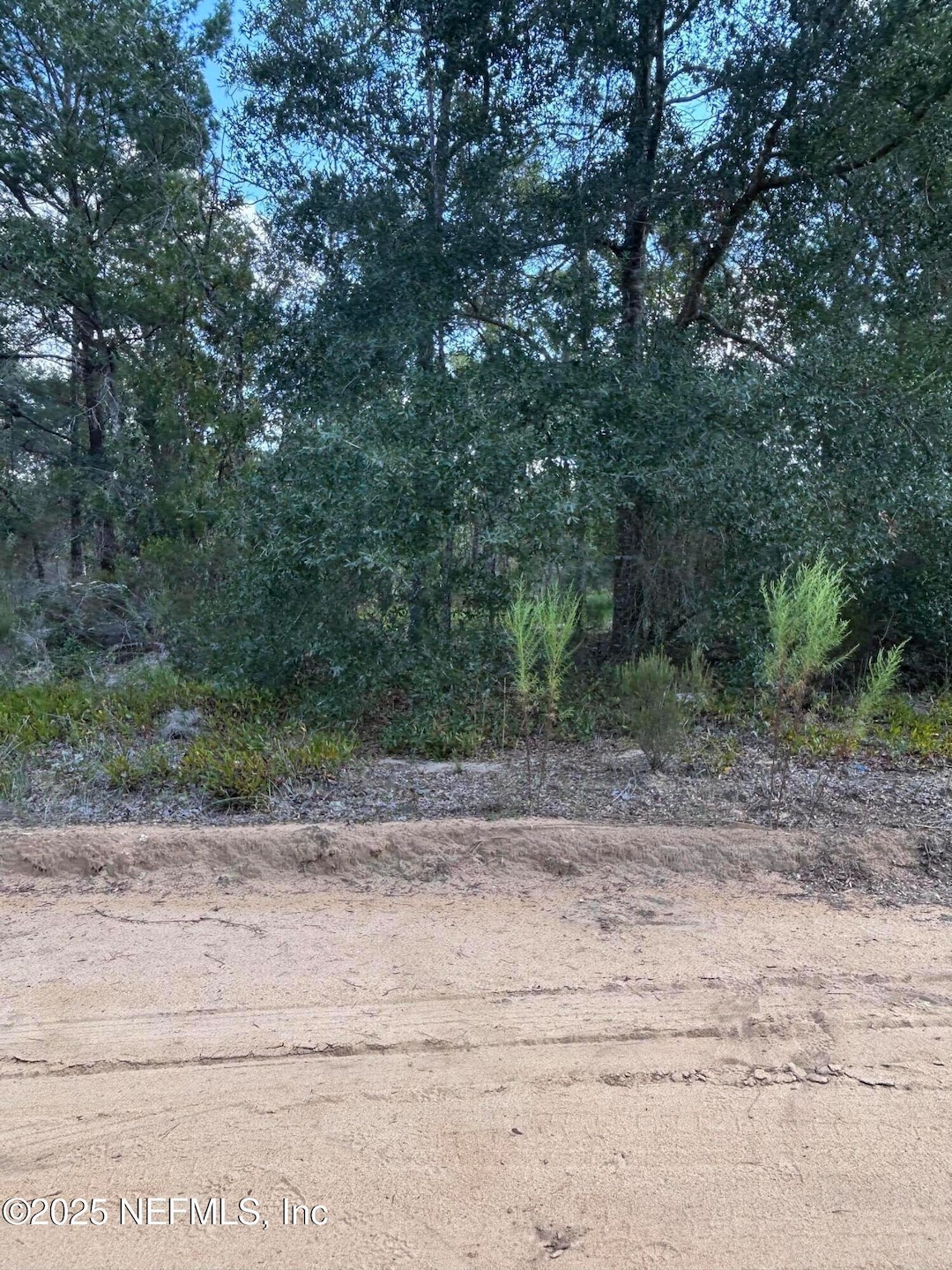 1) 64583-690fd342e0c27