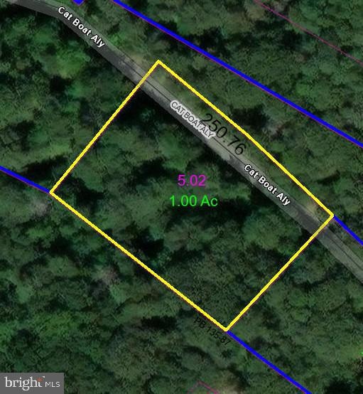 LOT 2 Cat Boat Aly, Seaford, DE 19973 - photo 1