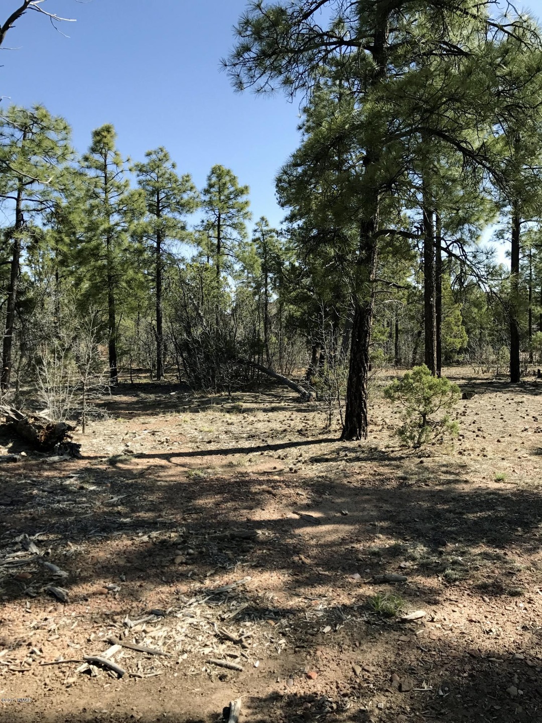 5983 LUMINARY Way, Lakeside, AZ 85929
