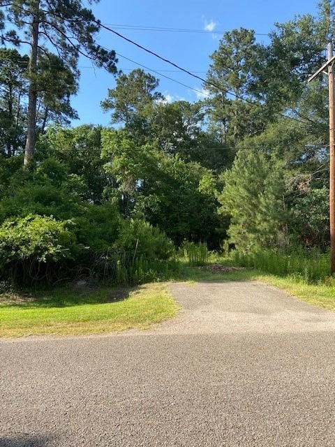 n/a Pinewood Dr, Conroe, TX 77385 - photo 1