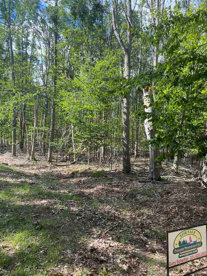 Lots 156 & 157 Humming Bird Ct unit 156 & 157, Otsego Lake Township, MI 49735 - photo 1