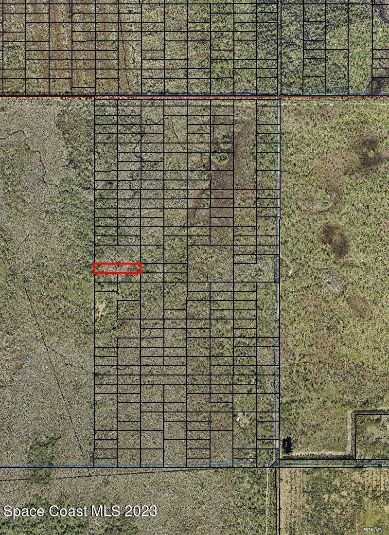 OFF SAPLING AVE 3001727 2