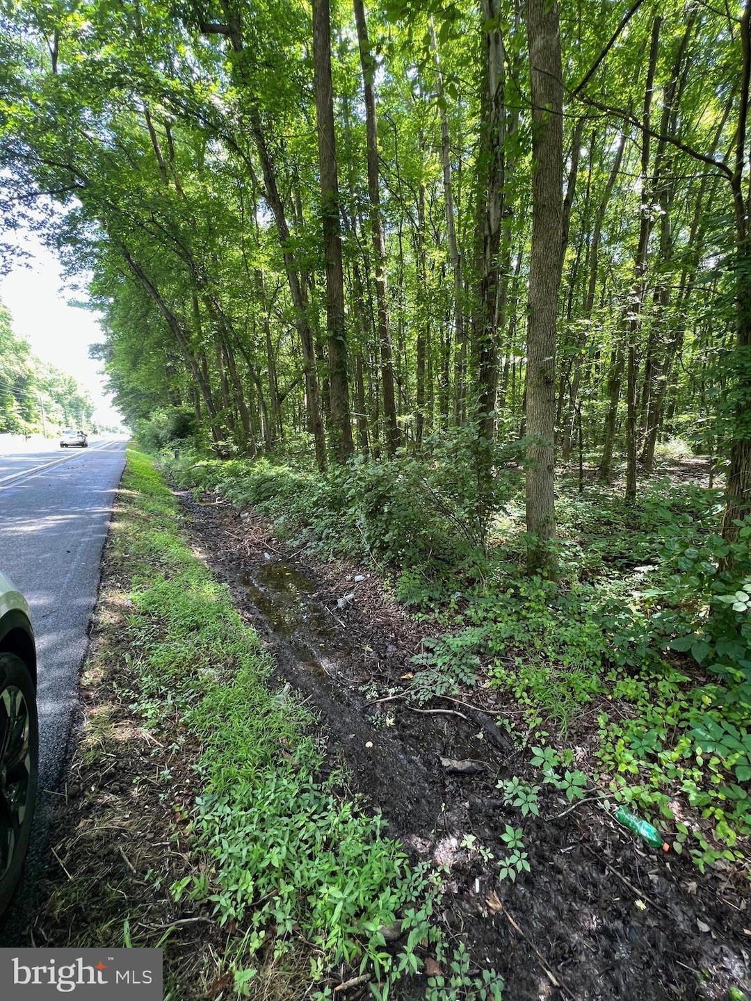 Sold $15,000 • Co-Listing Agent