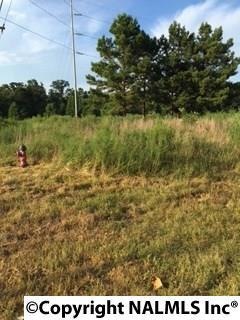 0 Ham Rd unit 1025974, Athens, AL 35611 - photo 1