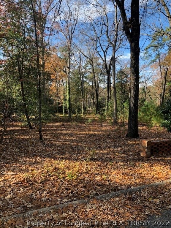 2833 A Skye Dr, Fayetteville, NC 28303 - photo 1