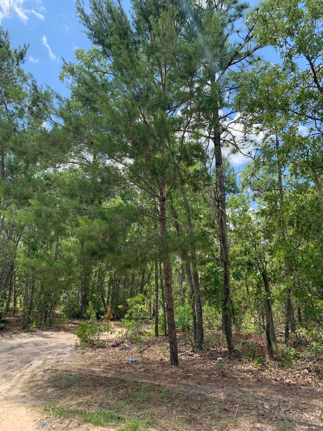 yz6k1bcBTiWf7u5JIQOrxQ