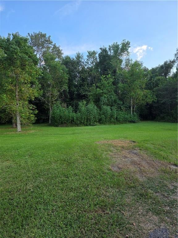 Back View Partly Cleared