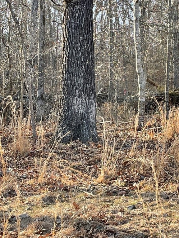 0 Rockhill Ln unit Lot 14/Block 4, Bella Vista, AR 72715 - photo 1