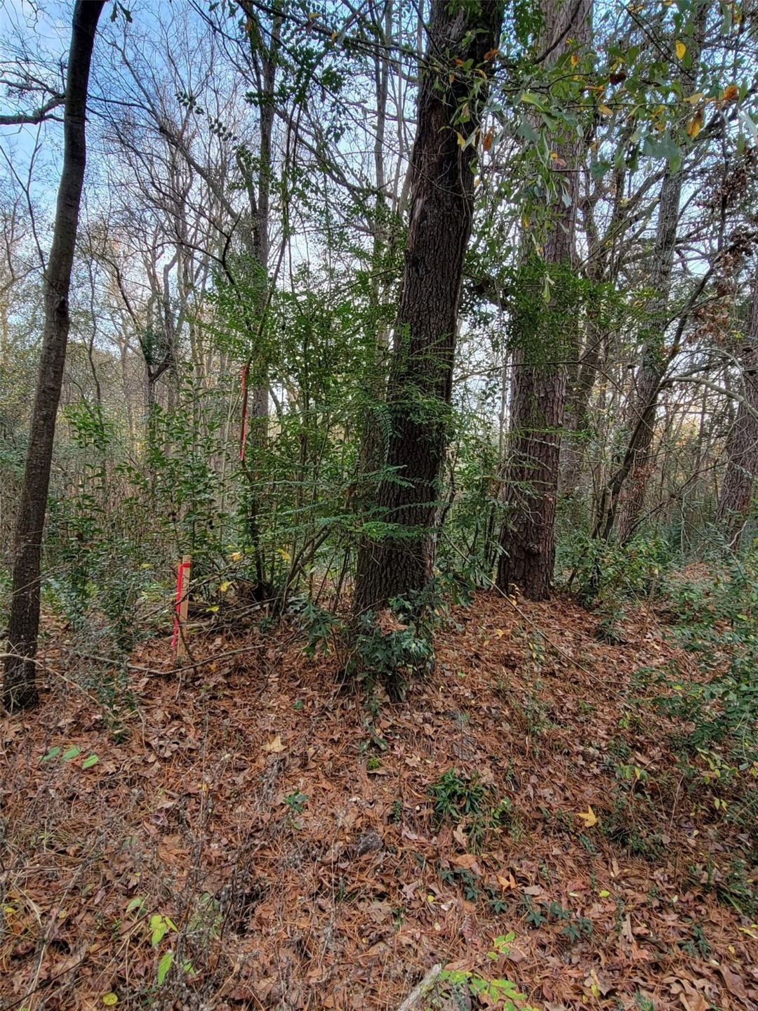 0 S Vine unit 29342199, Tyler, TX 75701 - photo 1