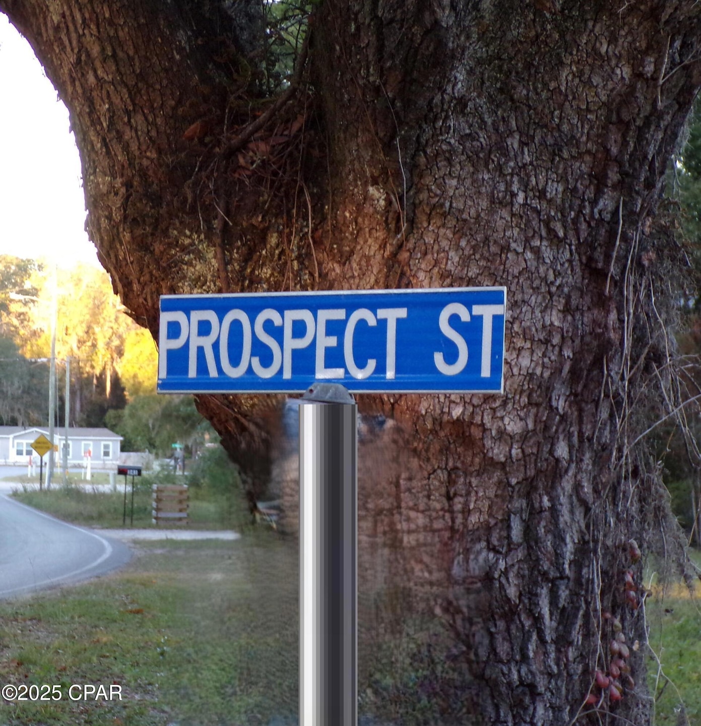 Prospect St