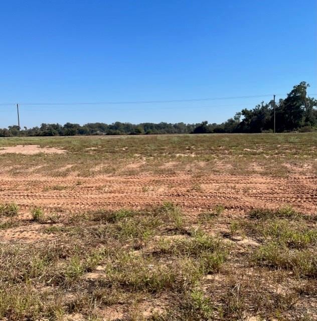 3078 Bayou Fields Dr, Alexandria, LA 71303 - photo 1