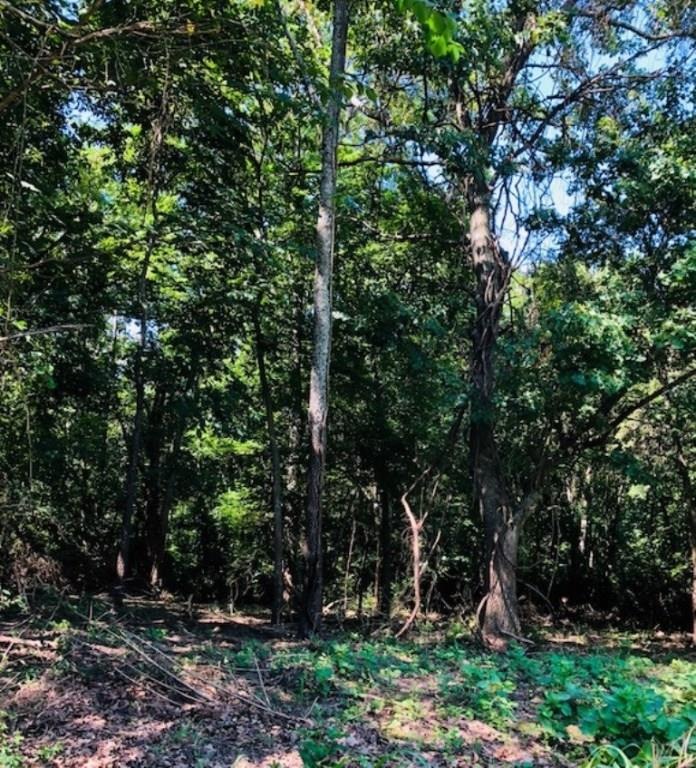 0 Red Bud Trail unit 1086345, West Fork, AR 72774 - photo 1