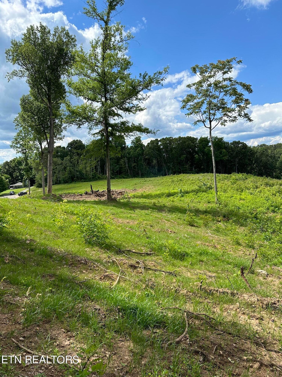 TBD Rd, Morristown, TN 37814 - photo 1